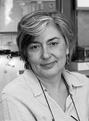 Isabel Varela Nieto Isabel Varela Nieto
