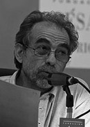 Julio Alguacil Gómez