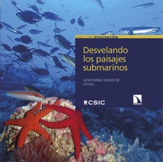 Desvelando los paisajes submarinos Desvelando los paisajes submarinos