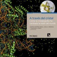 Portada de: A través del cristal