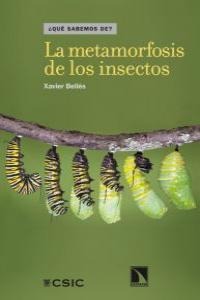 La metamorfosis de los insectos