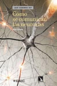 Cómo se comunican las neuronas