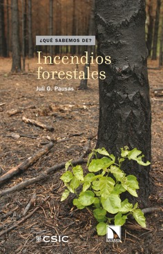 Incendios forestales