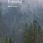 La microbiota forestal. Ana V. Lasa.